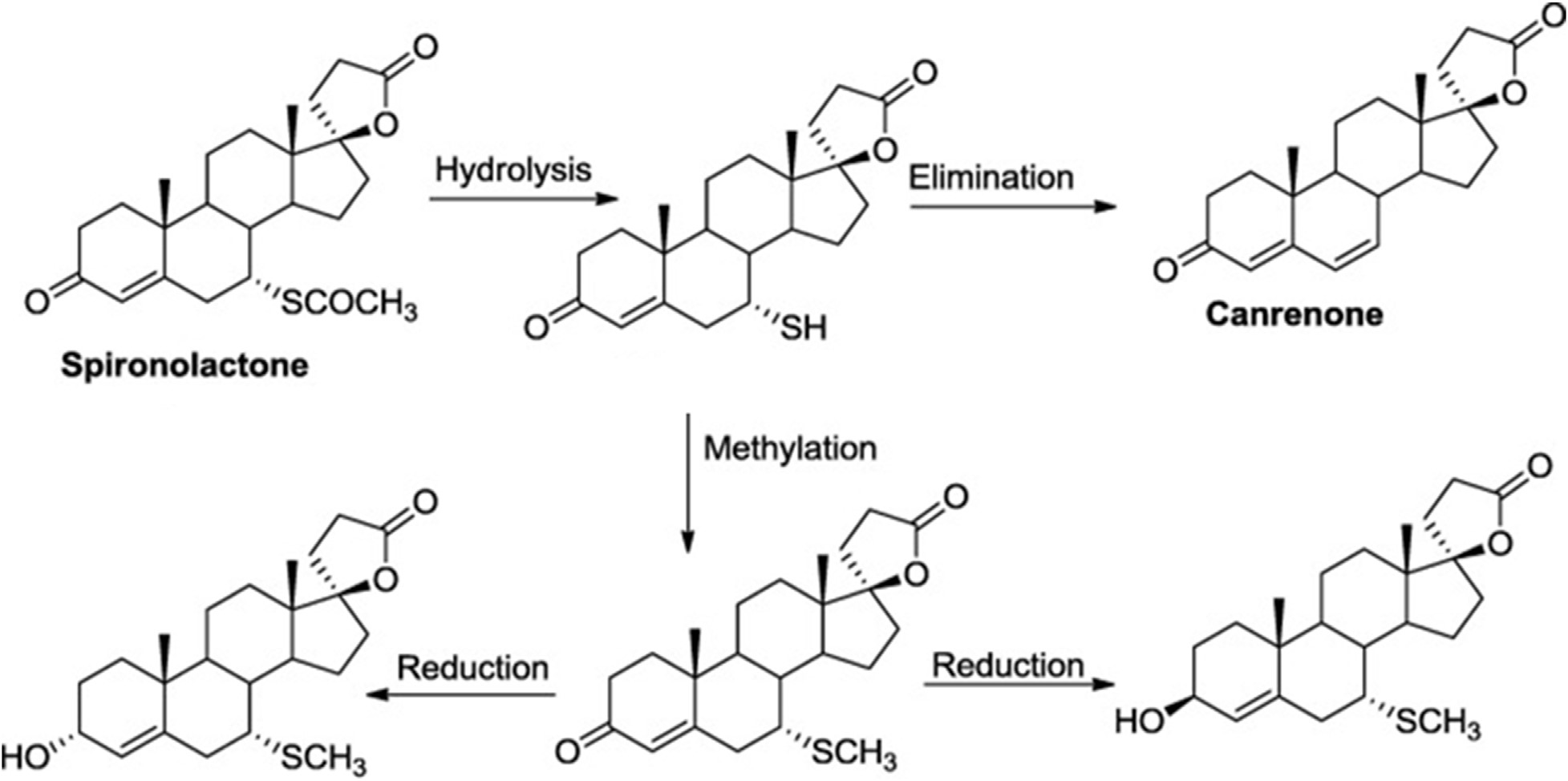 Figure 2. Spironolactone metabolism in liver